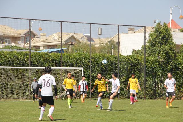 王哲林消极行为引发争议 上海不敌福建1胜3负